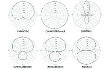 diagrammi polari del microfono